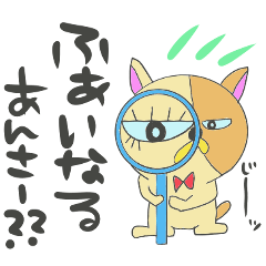Grumpy cat buchi