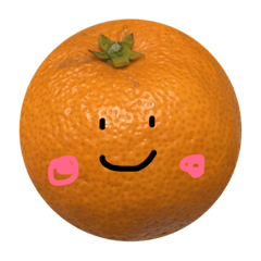 みかんさん コタツの上より Line スタンプ Line Store