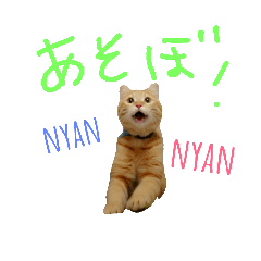 tonokome!
