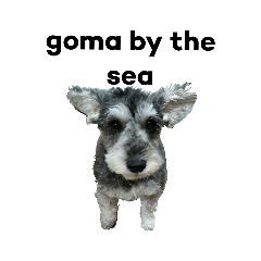 50by the sea_20220328232738