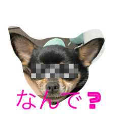 SAORI_20220328215729