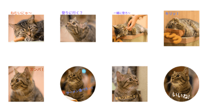 Ponzu_kun