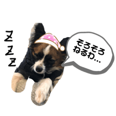 suzu_20220329135315