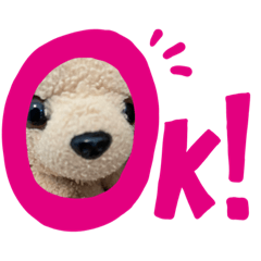 Akiko_20220328162956