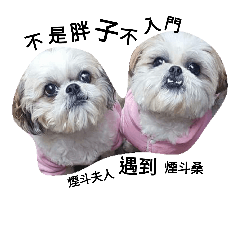 dog Baby Love2