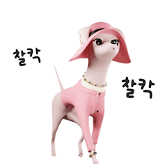Greyhound Yunie