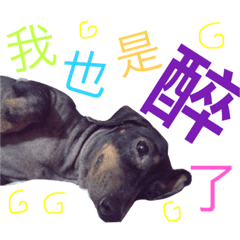 小肥妮出貼圖啦！