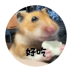 薯餅餅