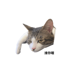 魚塞班