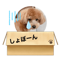 AI_20220329212927
