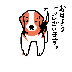 Beagle's   shintaro