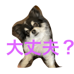 kuu_20220329233637