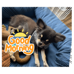msk_20220330083729