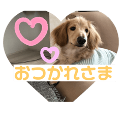 orange_20220330011304