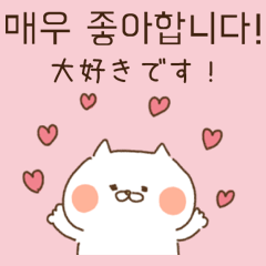 Hangul and Japanese cat