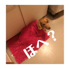 yuka_20220329183547