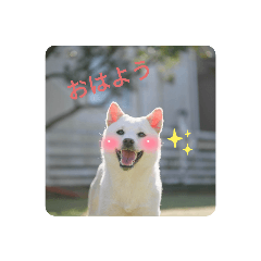 Hana_20220329195745