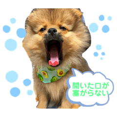 MIKI_20220329202129