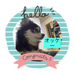 KAORI_20220329203318