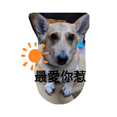 Lin family我們這一家