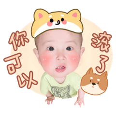 侑侑小寶貝（柴犬森77）