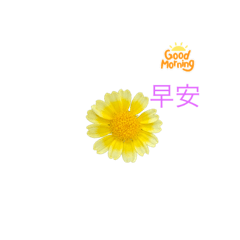 花語傳情