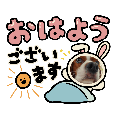 suzu_20220330194720