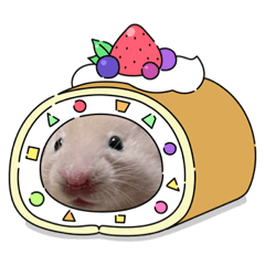 kinaco_20220330204037