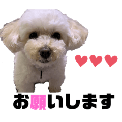 ayumi_20220330205021