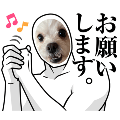 rina_20220330210032