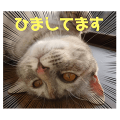 kchan_20220330220126