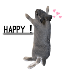 ai_20220330224727