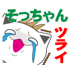 Sochan's dedicated Sticker