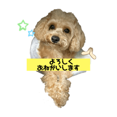 Mizuki_20220330235209