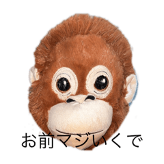 kazuki_20220330131527