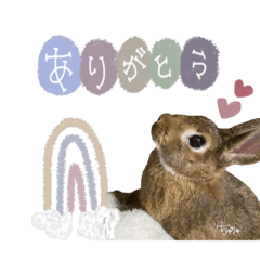 yun_20220330142013