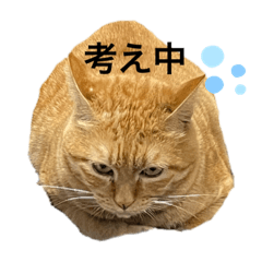 yuka_20220331093740
