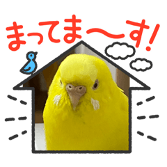 Nozomi_20220331092000