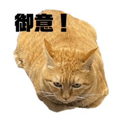 yuka_20220331094212