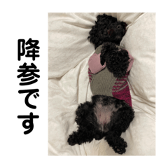 Momo-chi Stamp 1