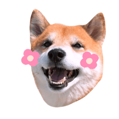 arisa_20220330164556