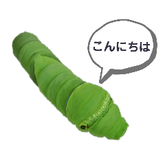 Caterpillars [revised edition]