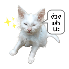 manoeyyy_20220330143550