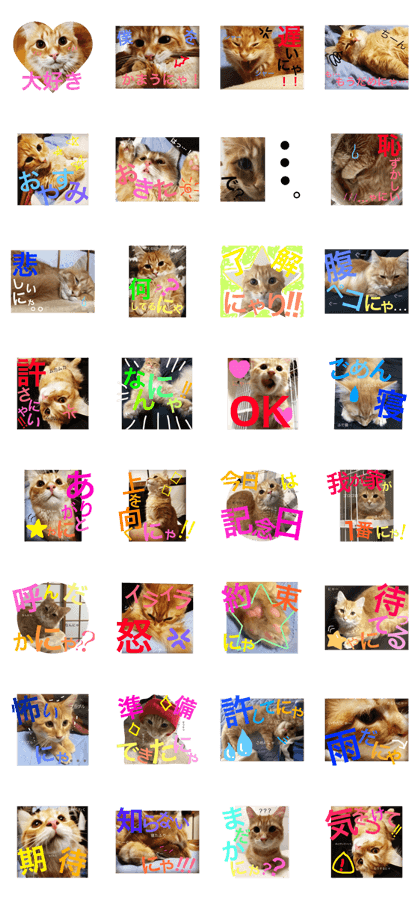 Chacha_cat
