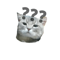 a lot cat cat cat cat cat cat