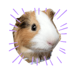 saori_20220330203338