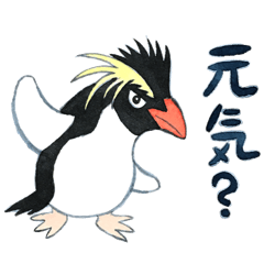 Iwatobi penguin sticker