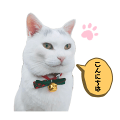 Alice_20220330205949