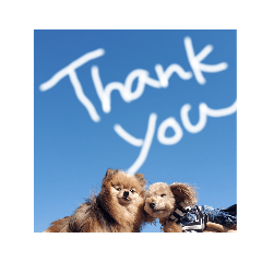 Saori_20220330214245