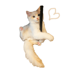 mizuki_20220331123739